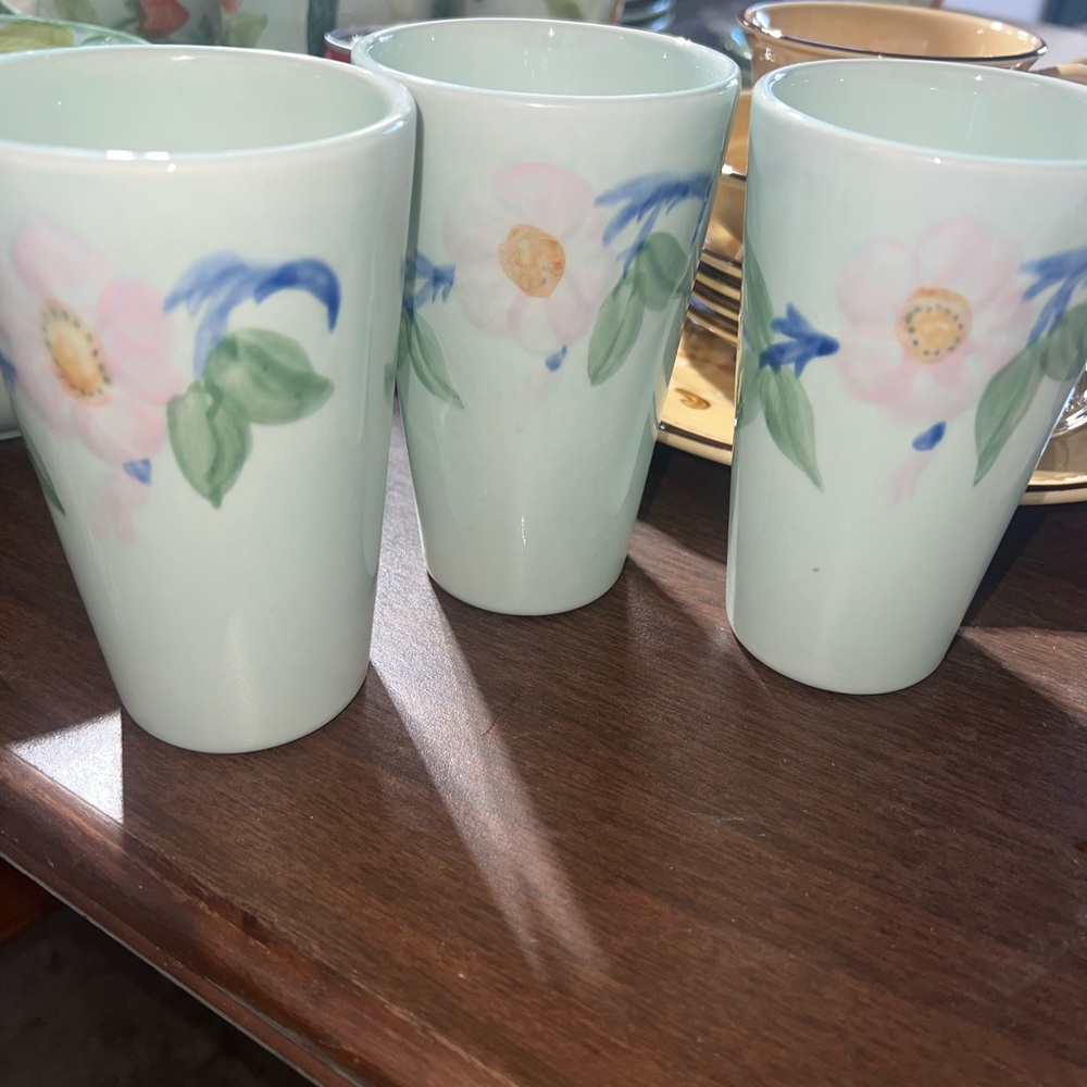 Franciscan 10 oz. Tumbler